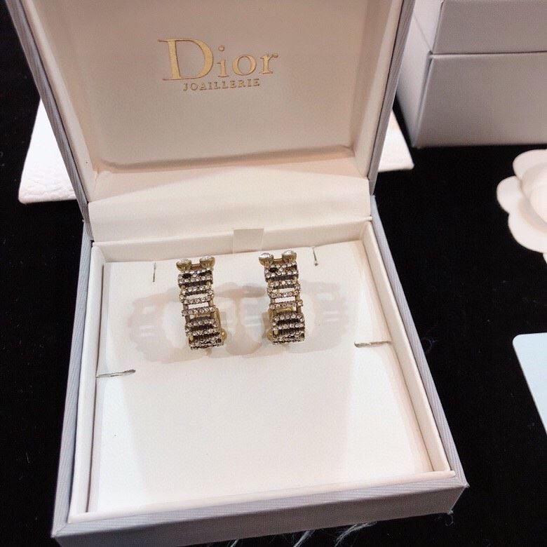 chr1st1an D10r earrings